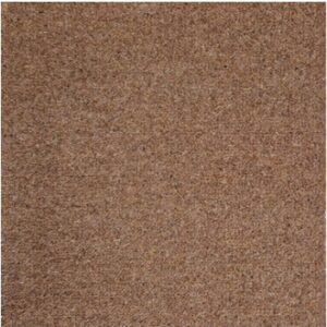 Brintons The Chroma Collection Biscotti - 4/Q2003