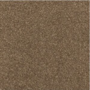 Brintons Purely Natural Twist Wentworth Brown - ET882