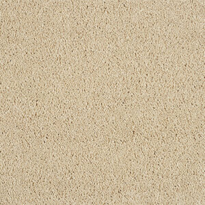 Abingdon Hidden Depths Honey Dew