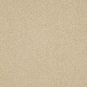 Abingdon Knightsbridge Berber Desert Fleece