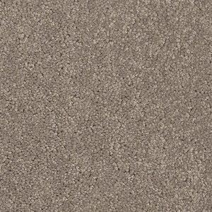 Cavalier Altitude Harcourt