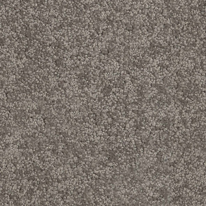 Cavalier Altitude Shard