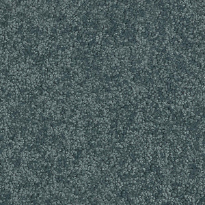 Cavalier Altitude Wardian