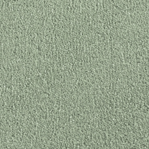 Cavalier Cosmopolitan Elm