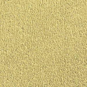 Cavalier Cosmopolitan Sundance