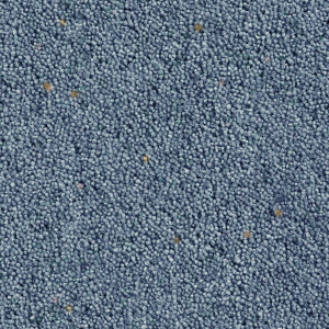 Cavalier Country Collection Wafer