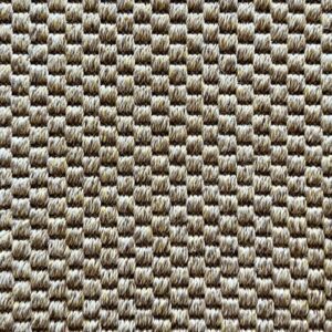 Elements Beatrix Panama Kitten