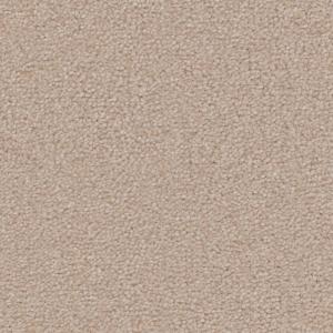 Cavalier Velveteen Buttermilk