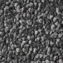 Westex Elysian Velvet Wolf