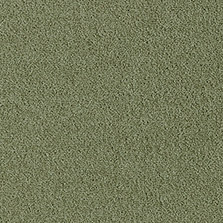 Westex Fine Westex Twist Monkwood Moss