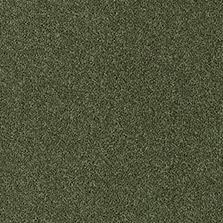 Westex Fine Westex Twist Ombersley Olive